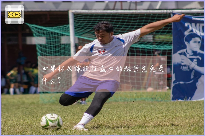 世界杯买球投注盘口的秘密究竟是什么？