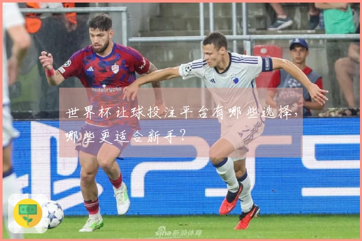 世界杯让球投注平台有哪些选择，哪些更适合新手？