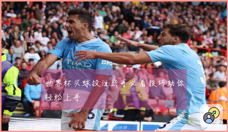 世界杯买球投注新手必看技巧助你轻松上手