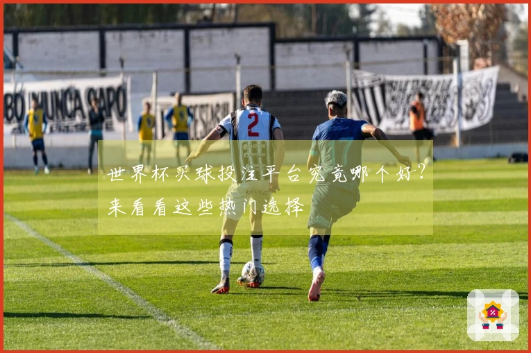 世界杯买球投注平台究竟哪个好？来看看这些热门选择