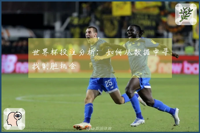 世界杯投注分析：如何从数据中寻找制胜机会