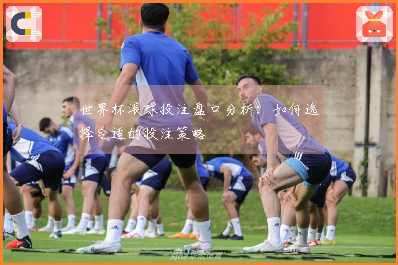 世界杯滚球投注盘口分析：如何选择合适的投注策略