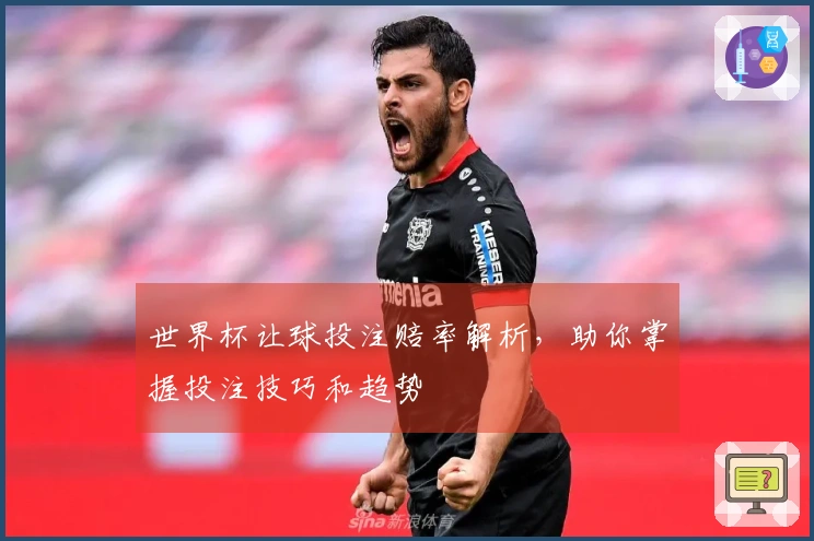 世界杯让球投注赔率解析，助你掌握投注技巧和趋势