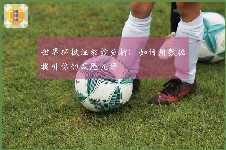 世界杯投注经验分析：如何用数据提升你的获胜几率