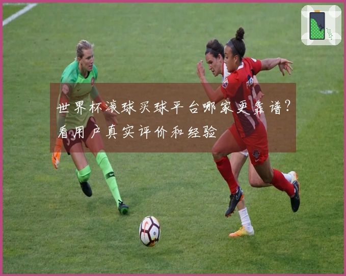 世界杯滚球买球平台哪家更靠谱？看用户真实评价和经验